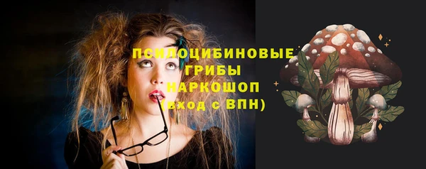 марки lsd Билибино