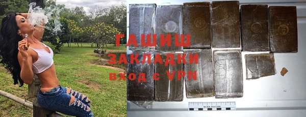 спиды Бикин