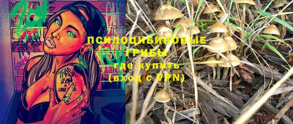 марки lsd Билибино