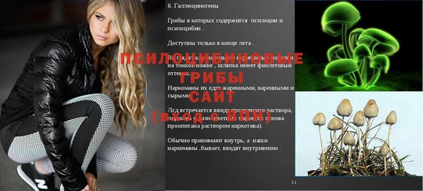 ECSTASY Татарск