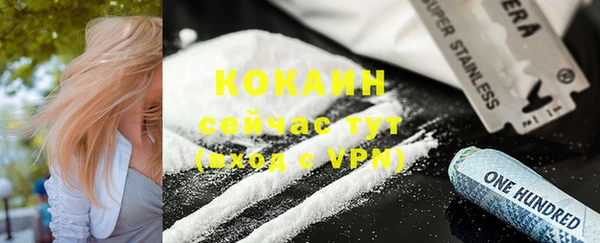 индика Теберда