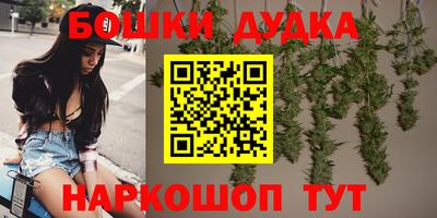 спайс Гай