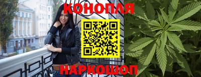 спайс Гай