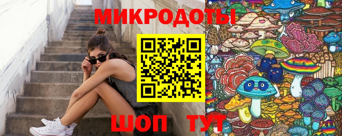 Псилоцибиновые грибы Psilocybe Знаменск